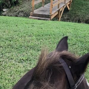 Meet your Posher, Celeste